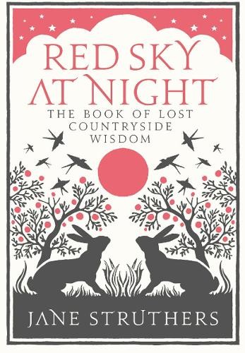 Red sky night the - sky, at